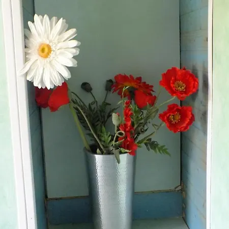 B&B Casa Turchina Avec Piscine Privee 포르토베쉬오