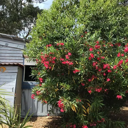 B&B Casa Turchina Avec Piscine Privee 포르토베쉬오