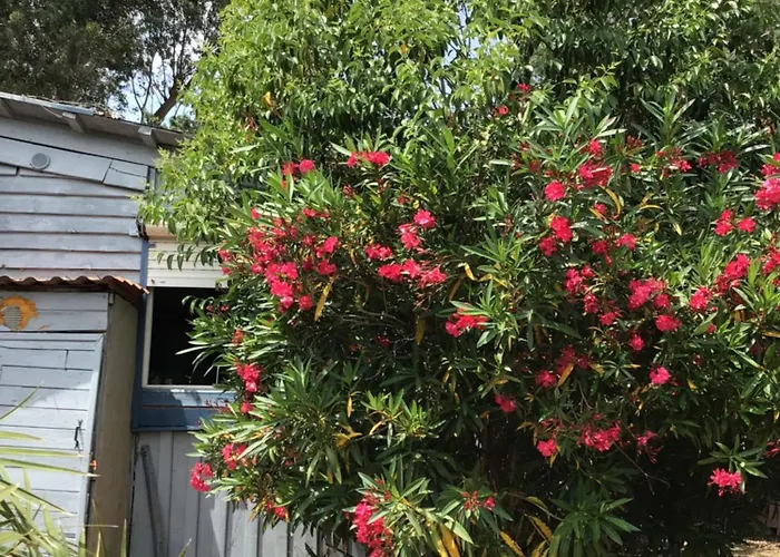 Panzió Casa Turchina Avec Piscine Privee Porto-Vecchio